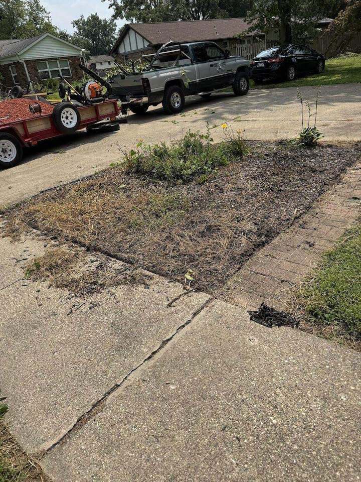 Boss Pros Lawn Care project