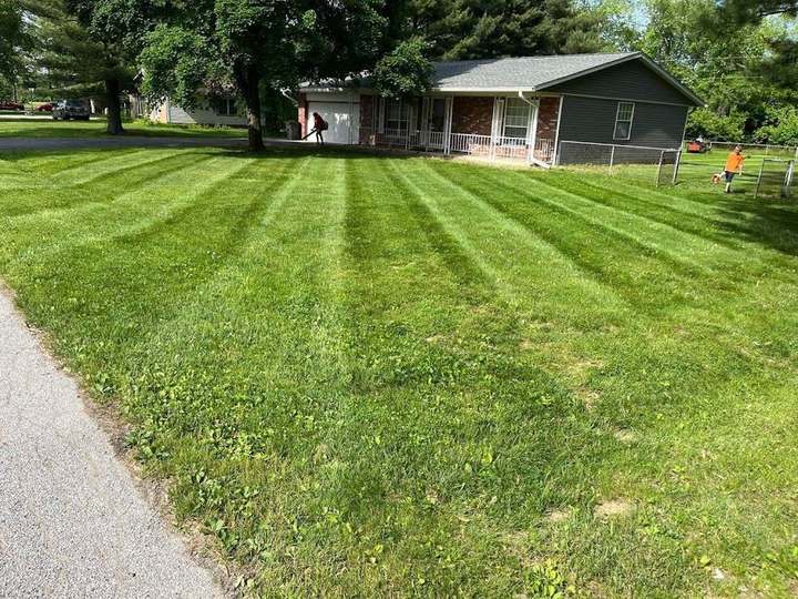 Boss Pros Lawn Care project