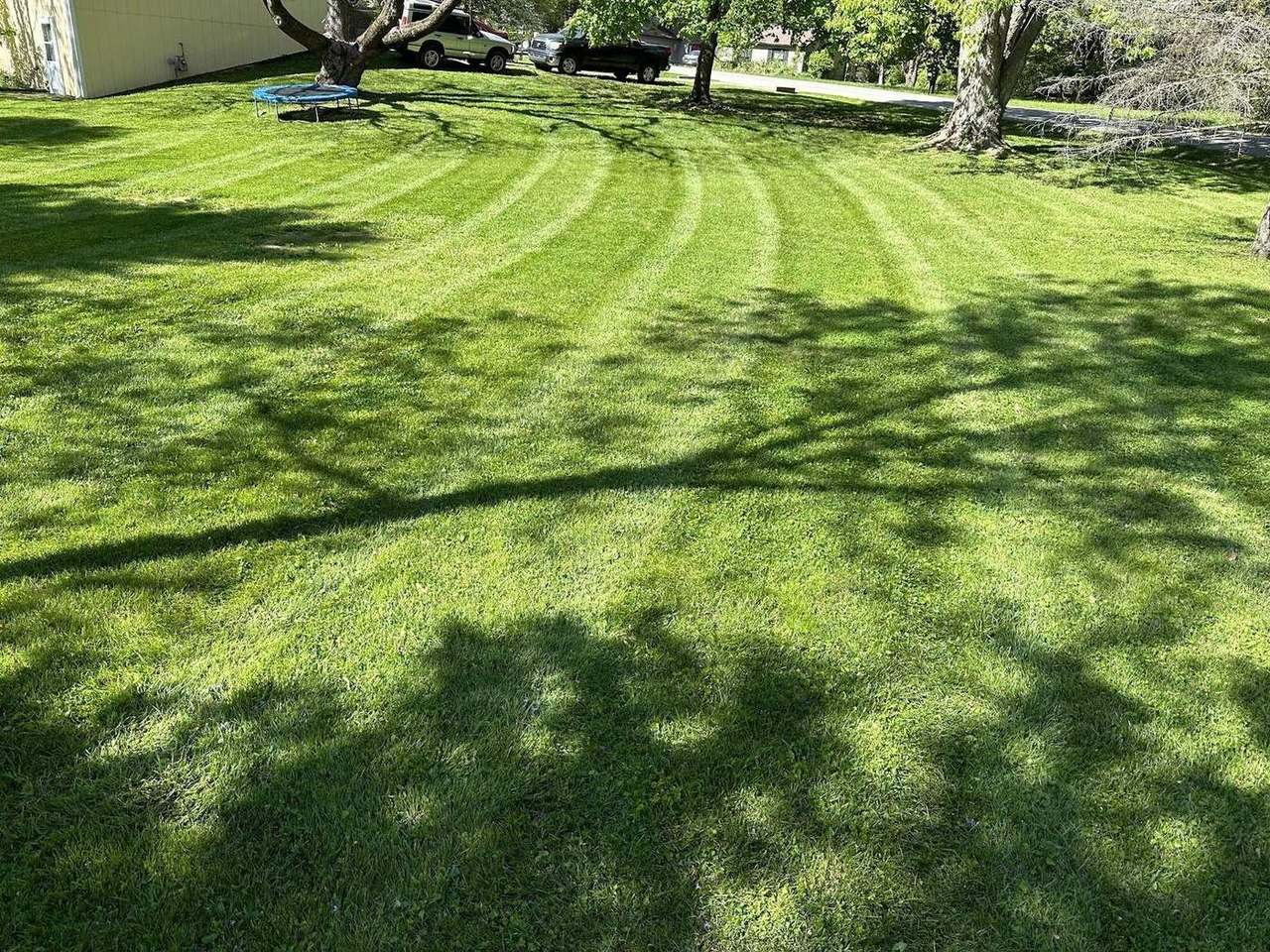 Boss Pros Lawn Care work