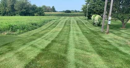 Boss Pros Lawn Care project