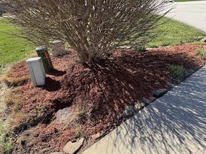 Boss Pros Lawn Care project