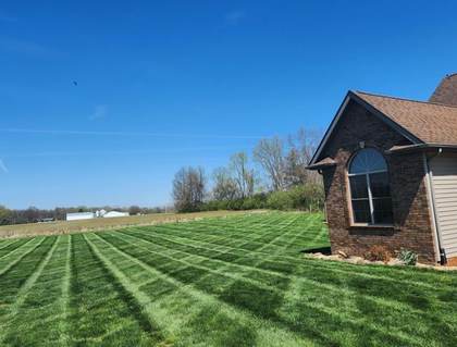 Boss Pros Lawn Care project