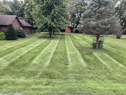 Boss Pros Lawn Care project
