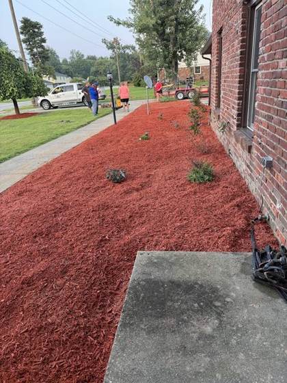 Boss Pros Lawn Care project