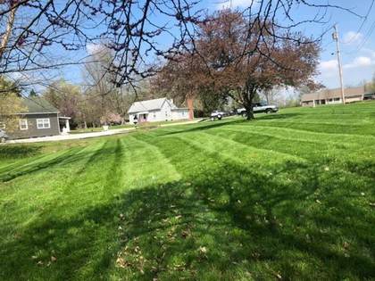 Boss Pros Lawn Care project