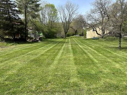 Boss Pros Lawn Care project